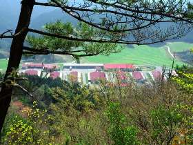 登山道からの牧場