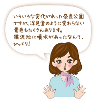 いろいろな変化があった奈良公園ですが、浮見堂のように変わらない景色もたくさんあります。猿沢池に噴水があったなんて、びっくり！