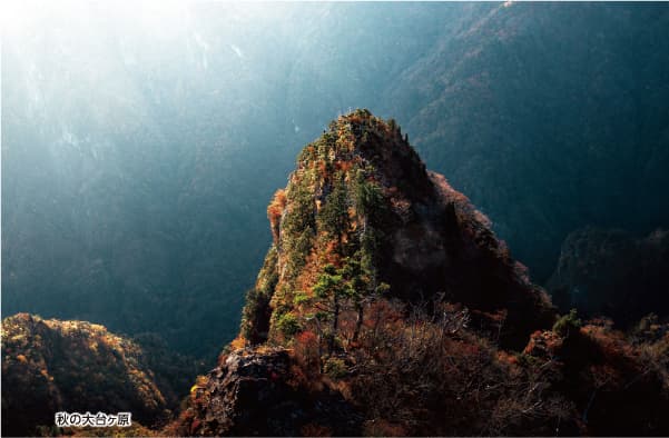 秋の大台ヶ原