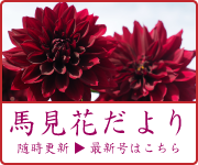 馬見花だよりリンク