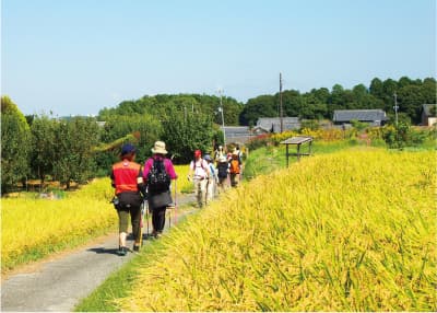 山の辺の道クリーンキャンペーン