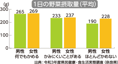 1日の野菜摂取量