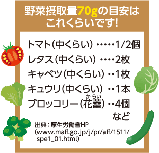 野菜摂取量70gの目安