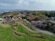 馬見丘陵公園の写真