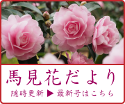 馬見花だよりリンク