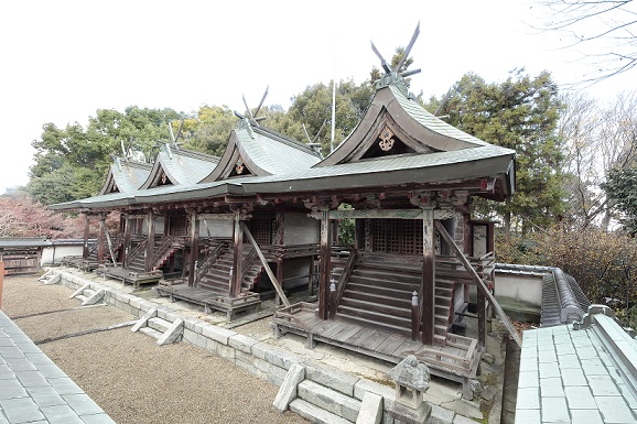 多坐弥志理都比古神社本殿