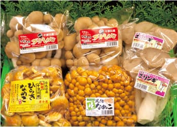 こだわりきのこ詰め合わせ(一例)