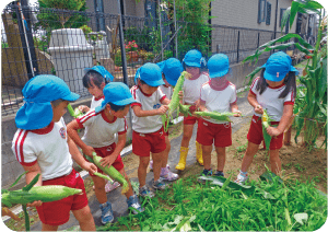 ドキドキわくわく農園