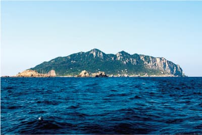 沖ノ島遠景(宗像大社提供)