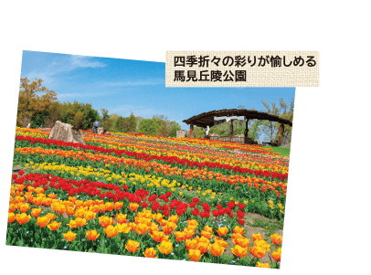 四季折々の彩りが愉しめる  馬見丘陵公園