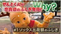 奈良県公式総合チャンネル