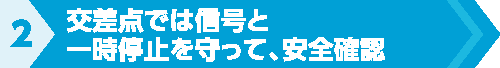 交差点では信号と一時停止を守って、安全確認