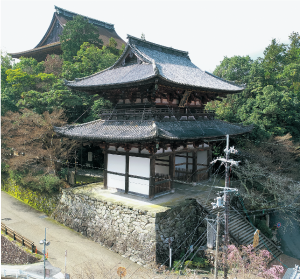 金峯山寺二王門