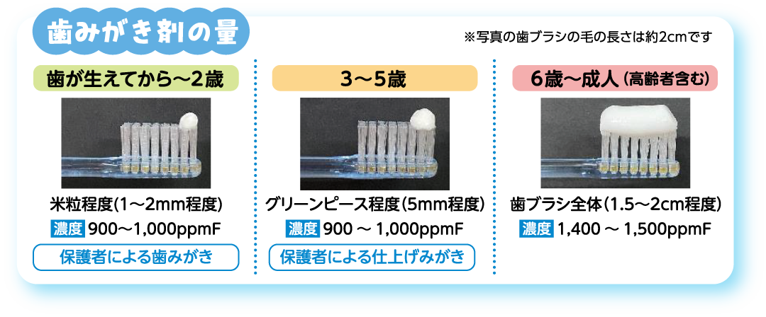 歯磨き剤の量