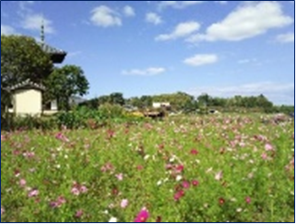 美しい農村風景