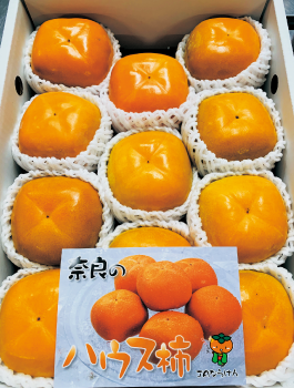 甘いハウス柿