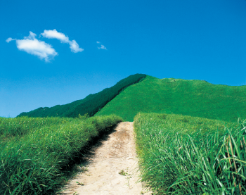 夏の曽爾高原