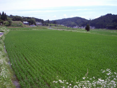 田原東地区