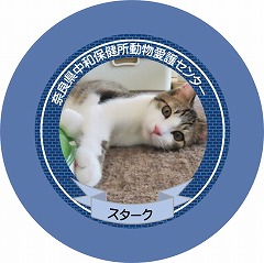 缶バッチの見本1