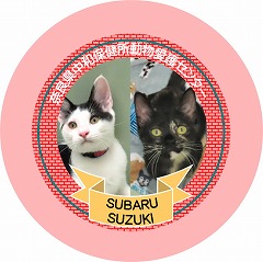 缶バッチの見本