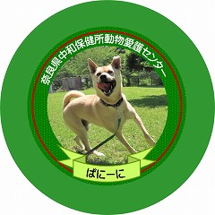 缶バッチの見本