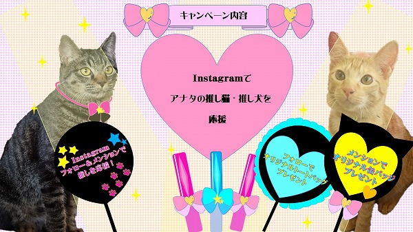 キャンペーン内容