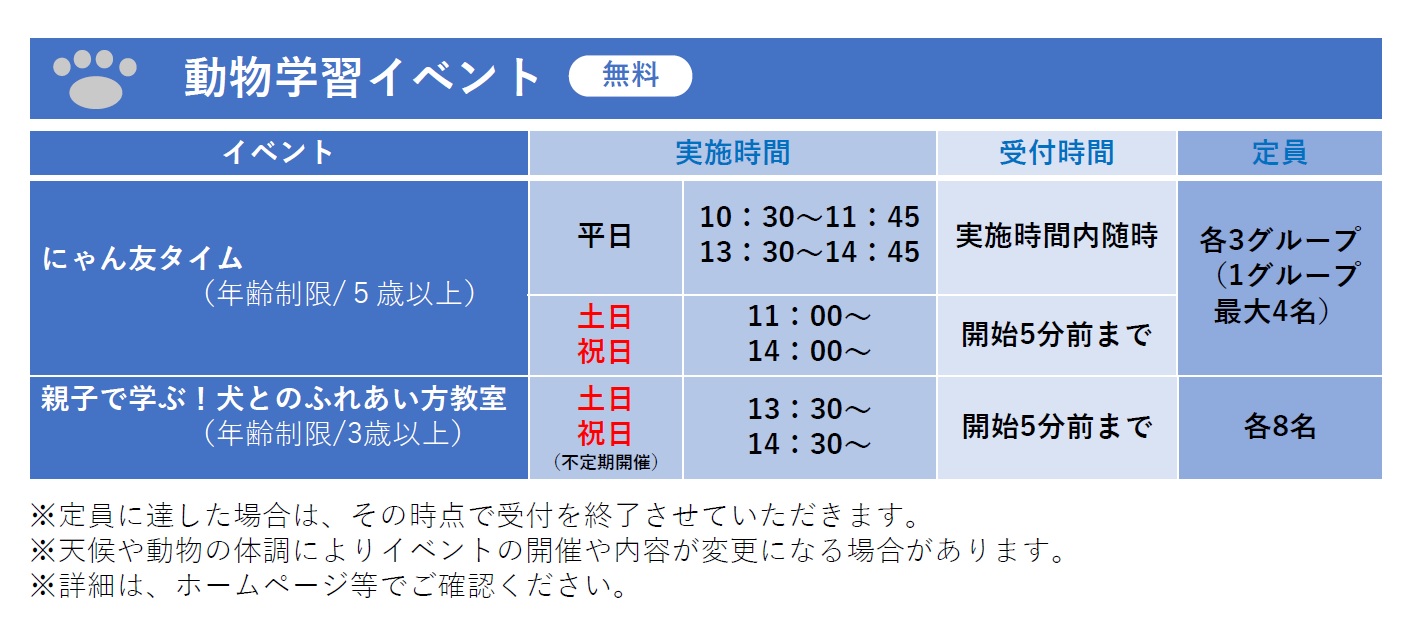 イベント