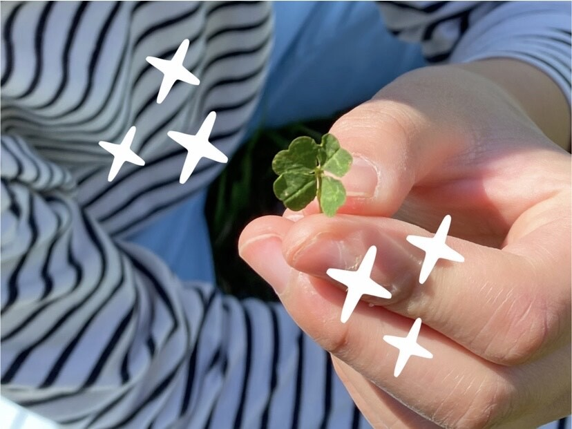 clover clover