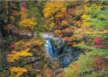 紅葉の名所「みたらい渓谷」