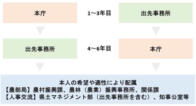 採用後の流れ