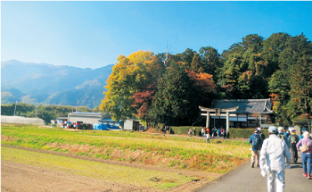 葛城山麓ウォーク