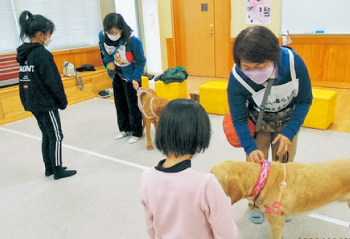 ウィンタースクール