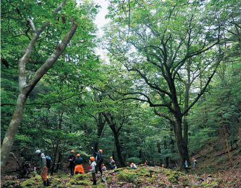 古くから人の営みに利用されてきた天然林（上北山村）