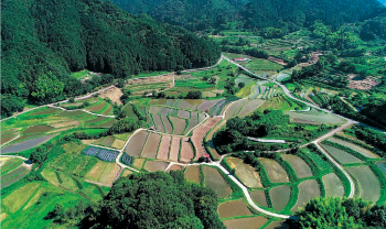 田植え前の棚田（明日香村稲渕）