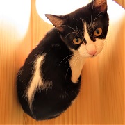 てら背中