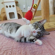 スライディング