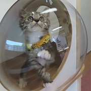 宇宙船なみも