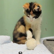 おもちゃ1