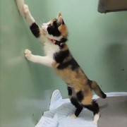 おもちゃ2