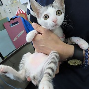 ちゆり1801