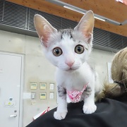 ちゆり1804