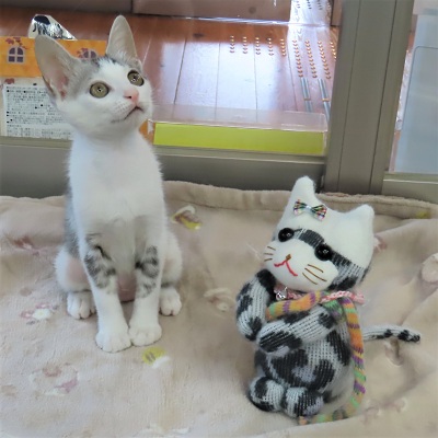 ちゆり400