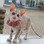 みゆる全身