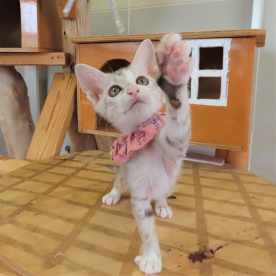 みゆる遊ぶ