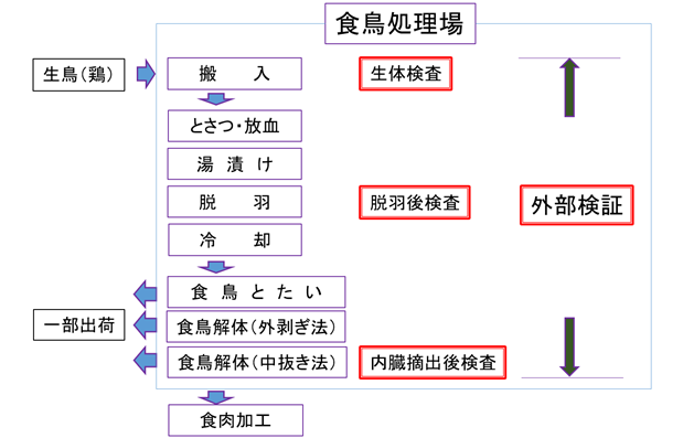 食鳥検査の流れ