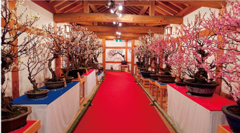 陀々堂（だだどう）の鬼走り