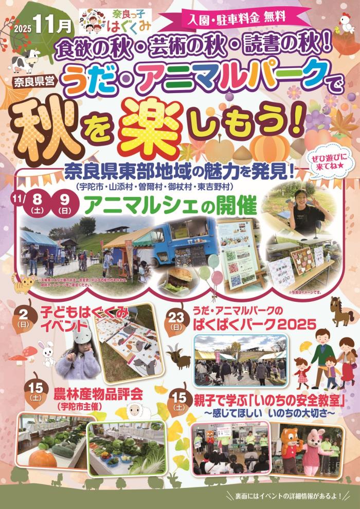 11月イベントチラシ表