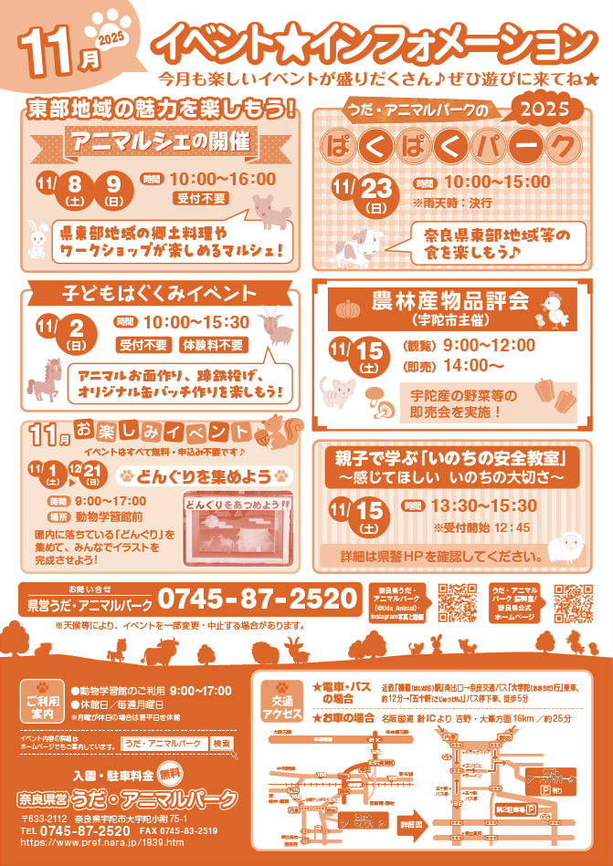 11月イベントチラシ裏