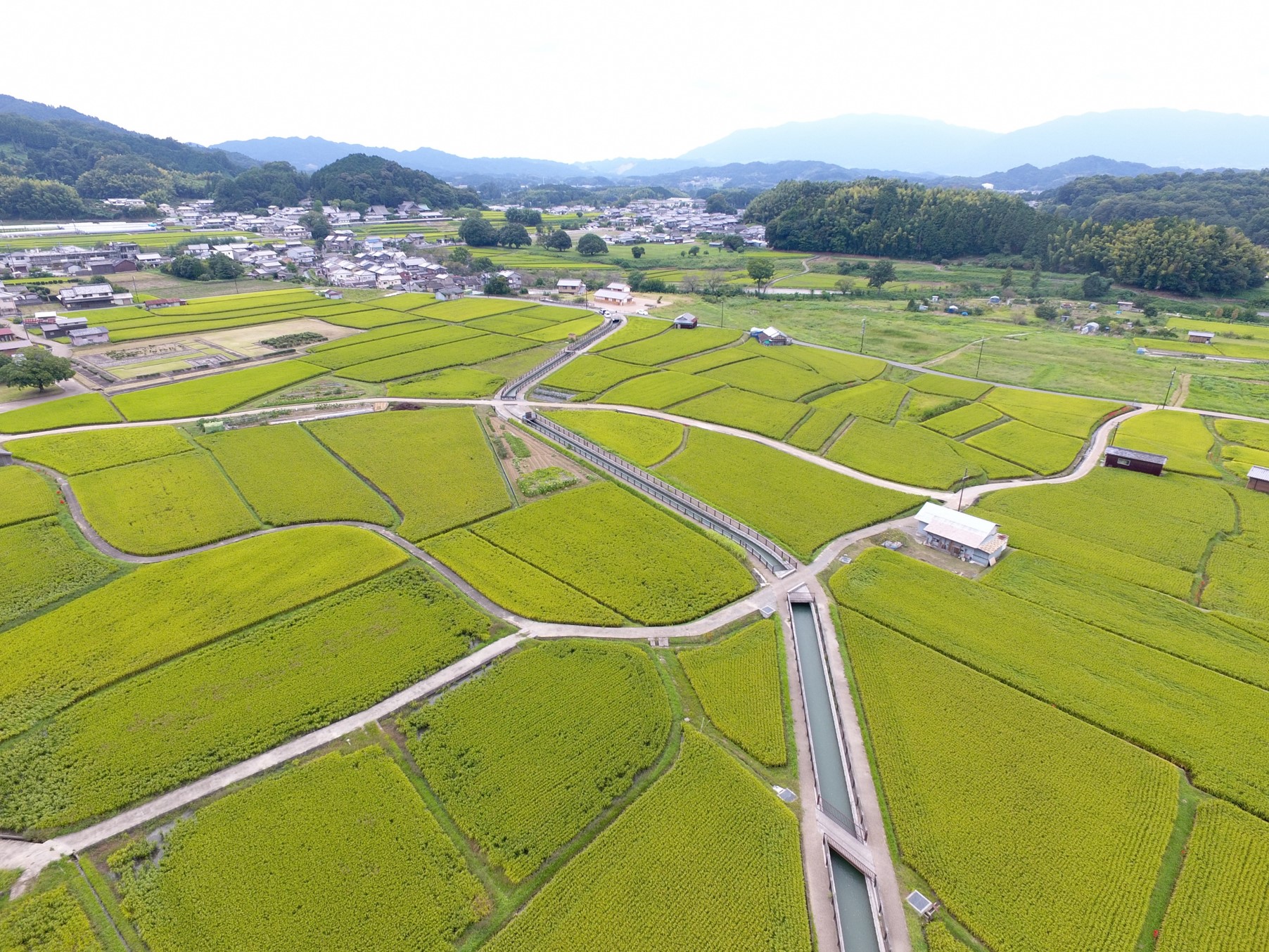 東西幹線水路（明日香村）