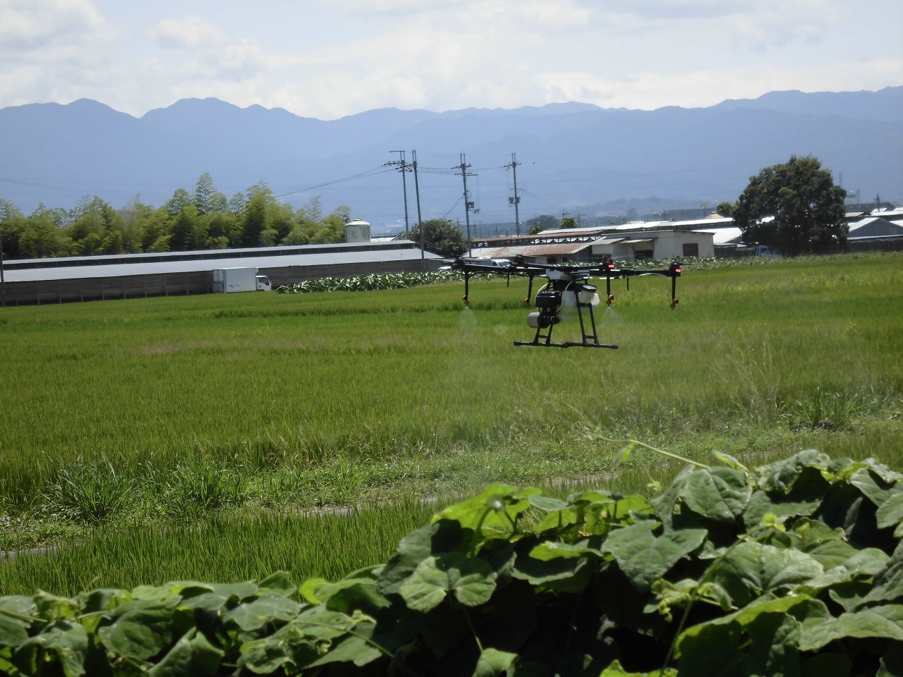 ドローンによる農薬散布（広陵町）